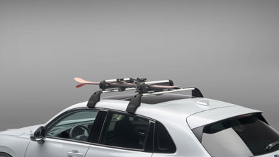 ZR V Ski And Snowboard Att Carousel